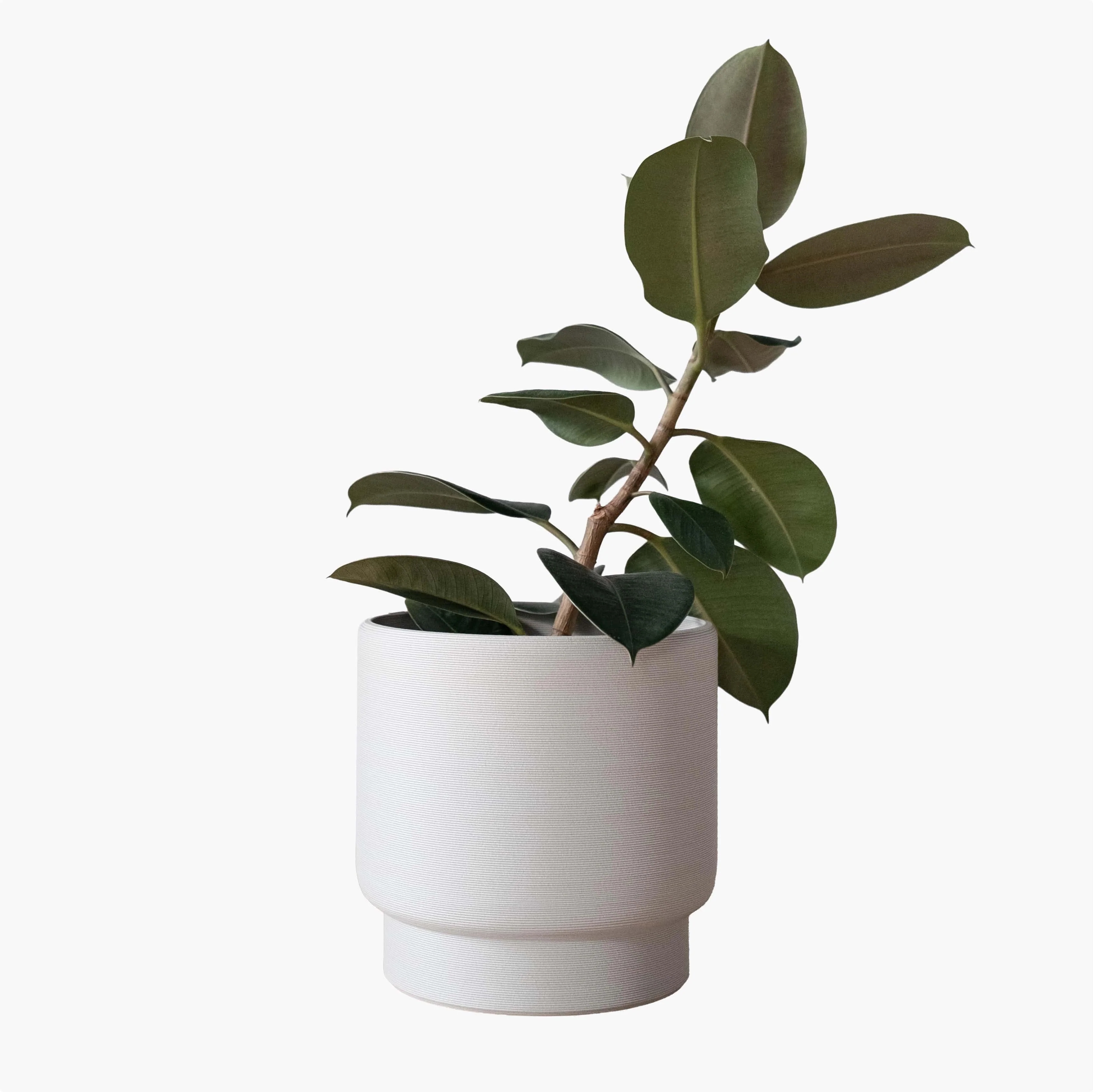 Planters